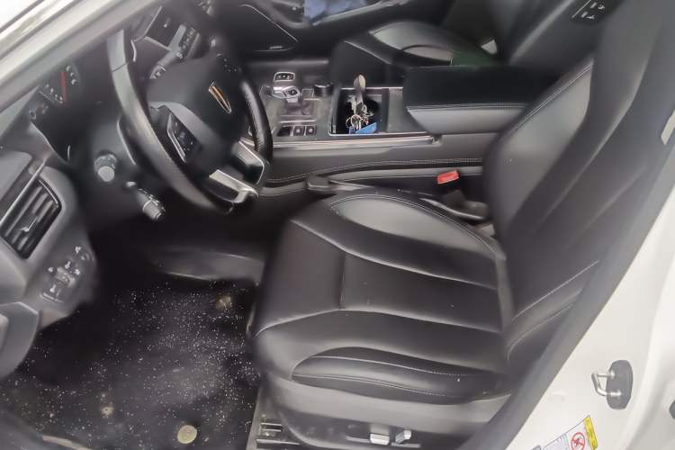 Used Hongqi H5 2020 1.8T Automatic Smart Connect Flagship Edition Left Front Seat
