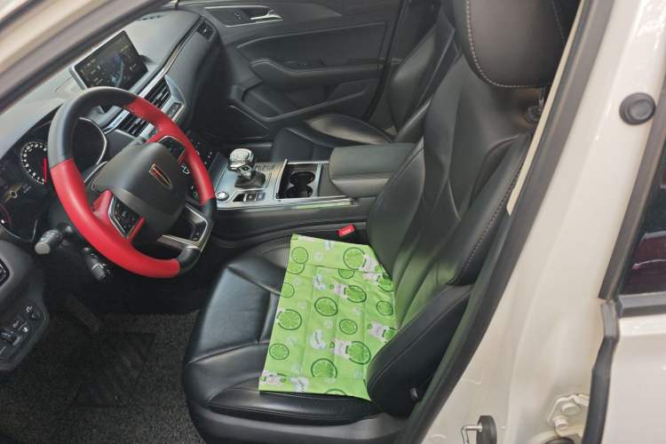 Used Hongqi H5 2020 1.8T Automatic ZhiLian QiYun Edition Left Front Seat
