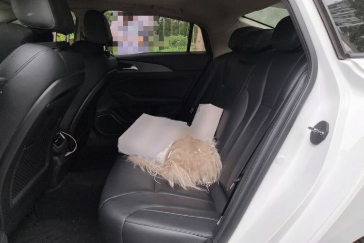 Used Hongqi H5 2020 1.8T Automatic Smart Connect Flagship Edition Left Rear Seat