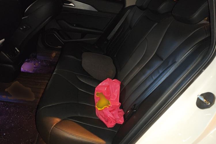 Used Hongqi H5 2020 1.8T Automatic Smart Connect Flagship Edition Left Rear Seat