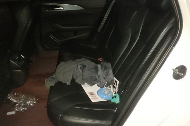 Used Hongqi H5 2020 1.5T DCT Flagship Edition Left Rear Seat