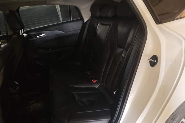 Used Hongqi H5 2020 1.5T DCT Flagship Edition Left Rear Seat