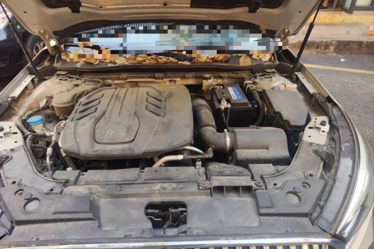 Used Hongqi H5 2020 1.5T DCT Flagship Edition Engine Bay Left