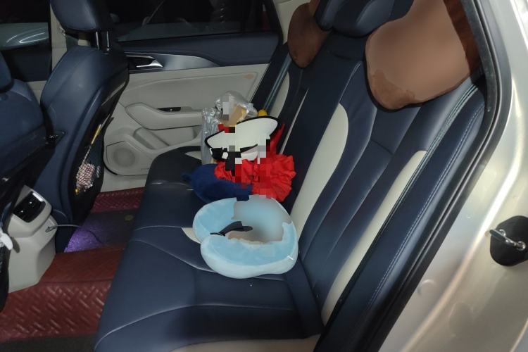 Used Hongqi H5 2020 1.8T Automatic Smart Connect Flagship Edition Left Rear Seat