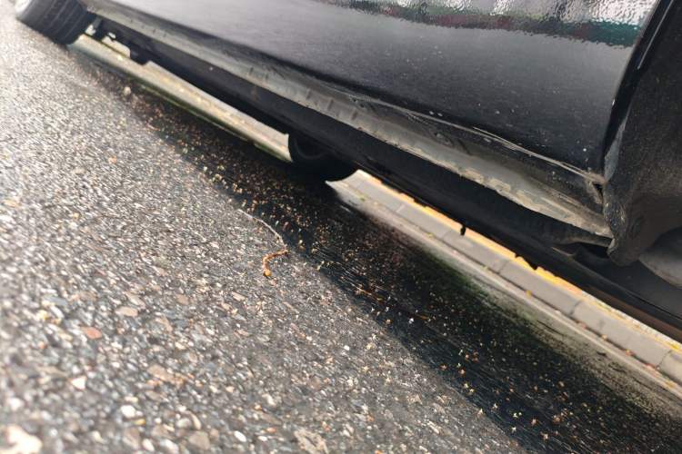 Used Hongqi H5 2022 Classic Model 1.8T Automatic Smart Connect Flagship Edition Chassis Rear Left