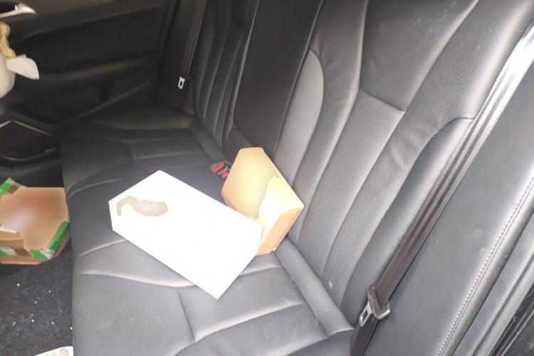 Used Hongqi H5 2022 Classic Model 1.8T Automatic Smart Connect Flagship Edition Left Rear Seat
