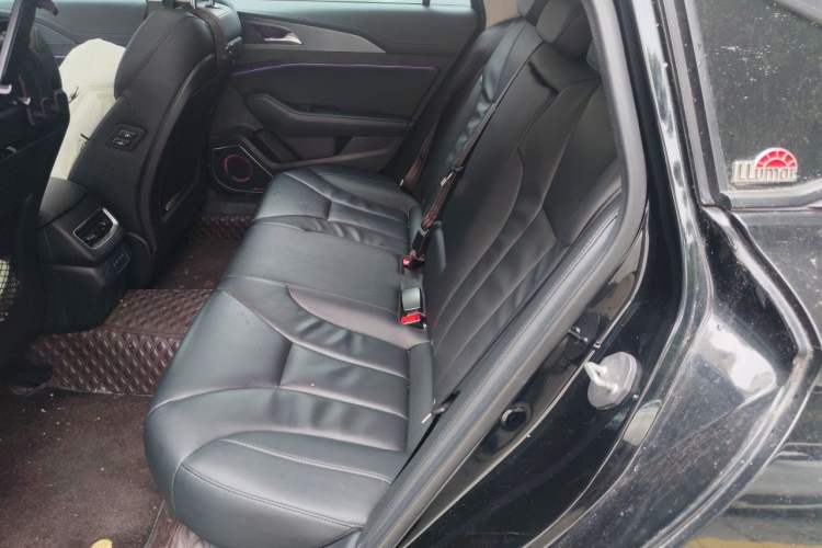 Used Hongqi H5 2022 Classic Model Facelift 1.5T DCT Qiyun Edition Left Rear Seat