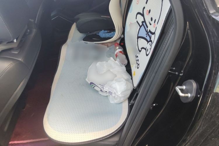 Used Hongqi H5 2022 Classic Model Facelift 1.5T DCT Qiyun Edition Left Rear Seat