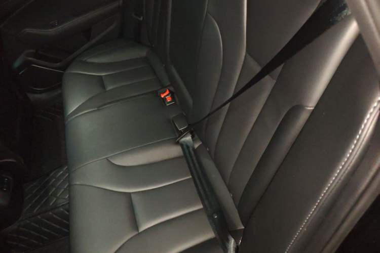 Used Hongqi H5 2022 Classic Model 1.5T DCT Flagship Edition Left Rear Seat