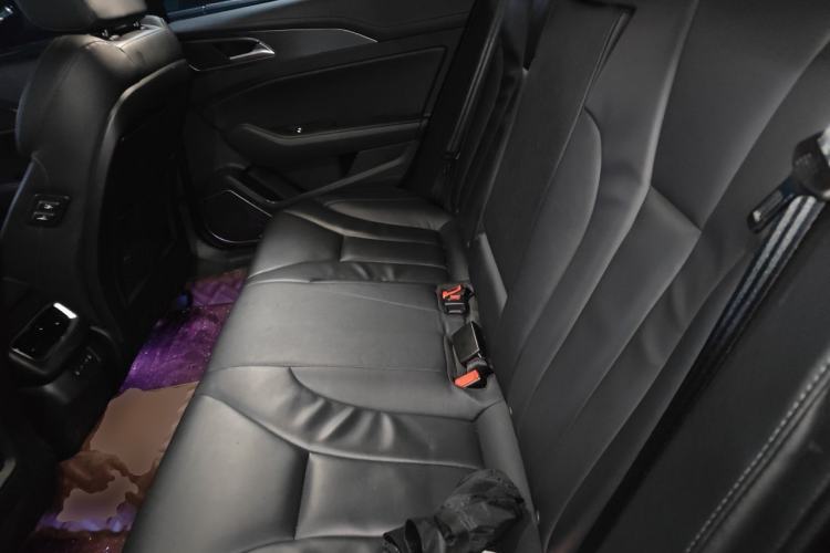 Used Hongqi H5 2022 Classic Model Facelift 1.8T Automatic Smart Connect Flagship Edition Left Rear Seat