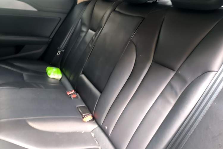 Used Hongqi H5 2022 Classic Model Facelift 1.8T Automatic Smart Connect Flagship Edition Left Rear Seat