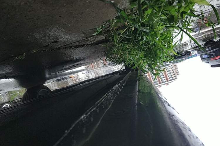 Used Hongqi H5 2022 Classic Model Facelift 1.5T DCT Qiyun Edition Left Side Sill