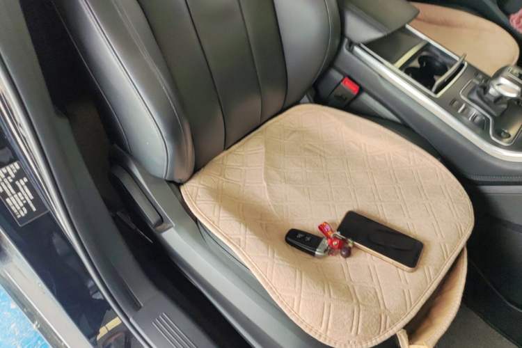 Used Hongqi H5 2022 Classic Model 1.5T DCT Flagship Edition Right Front Seat