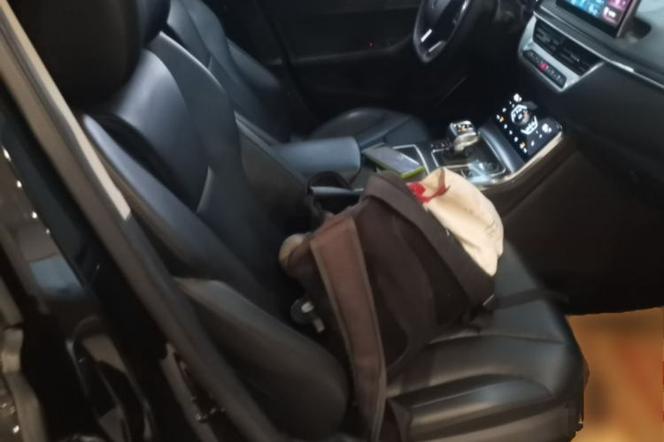 Used Hongqi H5 2022 Classic Model 1.8T Automatic Smart Connect Flagship Edition Right Front Seat