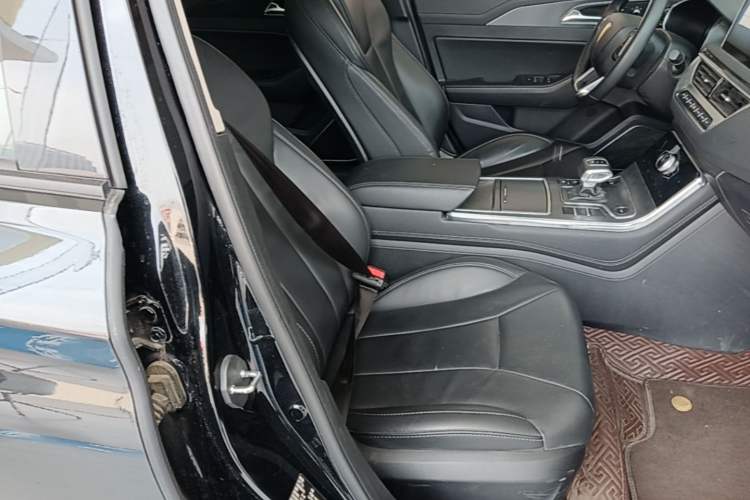 Used Hongqi H5 2022 Classic Model Facelift 1.5T DCT Qiyun Edition Right Front Seat