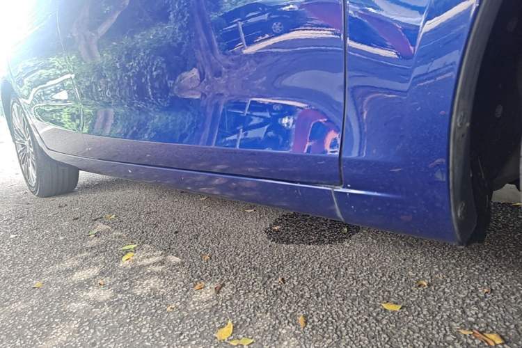 Used Hongqi H5 2022 Classic Model Facelift 1.5T DCT Qiyun Edition Right Side Sill