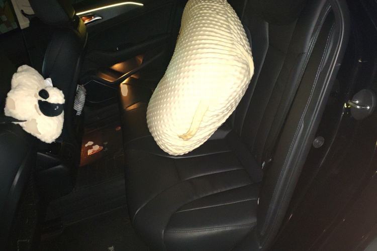 Used Hongqi H5 2022 Classic Model Facelift 1.8T Automatic Smart Connect Flagship Edition Left Rear Seat
