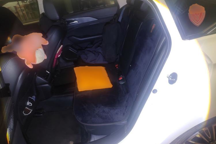 Used Hongqi H5 2022 Classic Model 1.5T DCT Flagship Edition Left Rear Seat