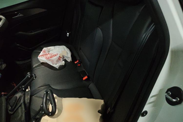 Used Hongqi H5 2022 Classic Model Facelift 1.5T DCT Qiyun Edition Left Rear Seat