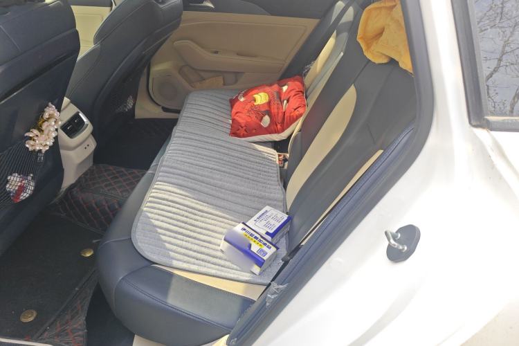 Used Hongqi H5 2022 Classic Model 1.5T DCT Flagship Edition Left Rear Seat