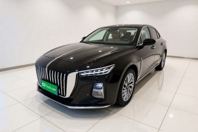 Hongqi H5 2023 2.0T Automatic Smart Connect Flagship Edition usata