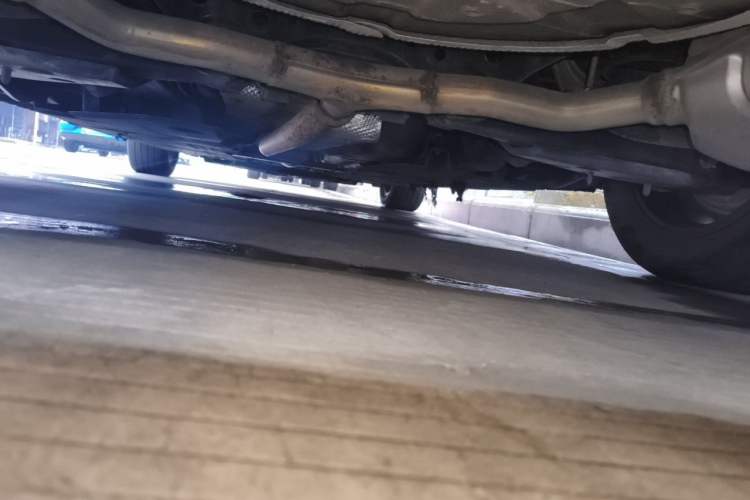 Used Hongqi H5 2023 2.0T Automatic Smart Connect Flagship Edition Chassis Rear