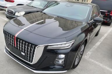 Used Hongqi H5 2023 2.0T Automatic Smart Connect Flagship Edition