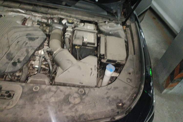 Used Hongqi H5 2023 2.0T Automatic Smart Connect Flagship Edition Engine Bay Left