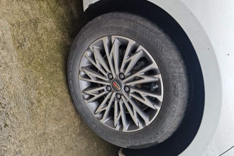 Used Hongqi H5 2023 2.0T Automatic Smart Connect Flagship Edition Exterior 5