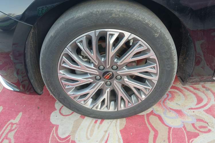 Used Hongqi H5 2023 2.0T Automatic Smart Connect Flagship Edition Exterior 7