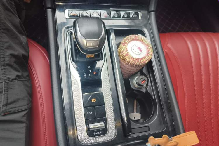 Used Hongqi H5 2023 2.0T Automatic Smart Connect Flagship Edition Gear Lever