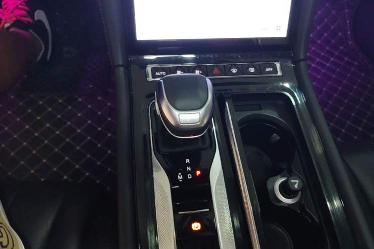 Used Hongqi H5 2023 2.0T Automatic Smart Connect Flagship Edition Gear Lever
