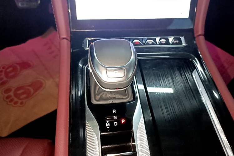 Used Hongqi H5 2023 2.0T Automatic Smart Connect Flagship Edition Gear Lever