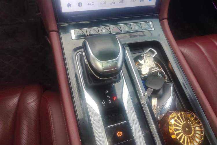 Used Hongqi H5 2023 2.0T Automatic Smart Connect Flagship Edition Gear Lever