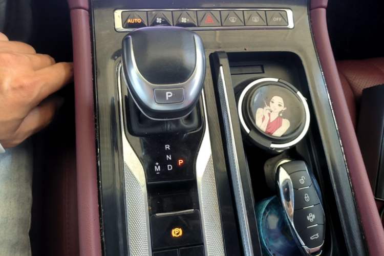 Used Hongqi H5 2023 2.0T Automatic Smart Connect Flagship Edition Gear Lever