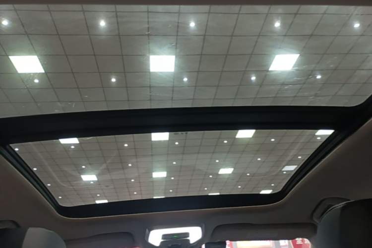 Used Hongqi H5 2023 2.0T Automatic Smart Connect Flagship Edition Headliner