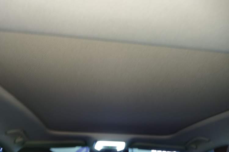 Used Hongqi H5 2023 1.5T HEV Smart Connect Flagship Edition Headliner