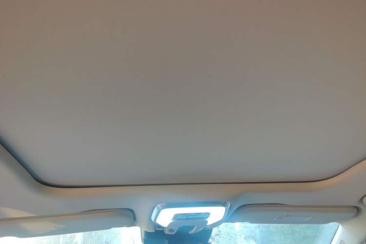 Used Hongqi H5 2023 2.0T Automatic Smart Connect Flagship Edition Headliner