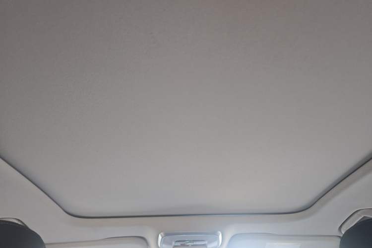 Used Hongqi H5 2023 2.0T Automatic Smart Connect Flagship Edition Headliner