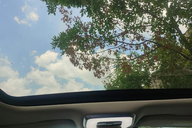 Used Hongqi H5 2023 2.0T Automatic Smart Connect Flagship Edition Headliner