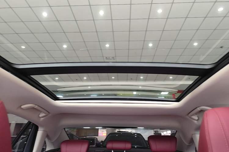 Used Hongqi H5 2023 1.5T DCT Smart Connect Flagship Edition Headliner