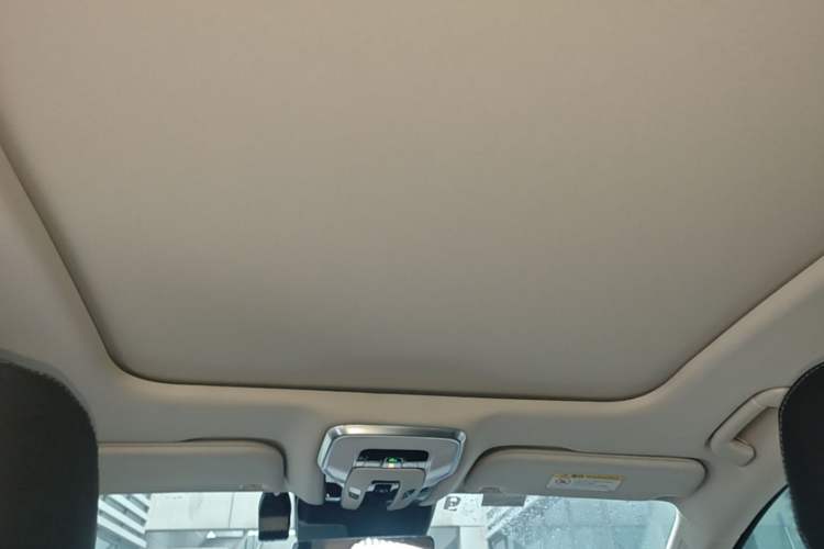 Used Hongqi H5 2023 2.0T Automatic Smart Connect Flagship Edition Headliner