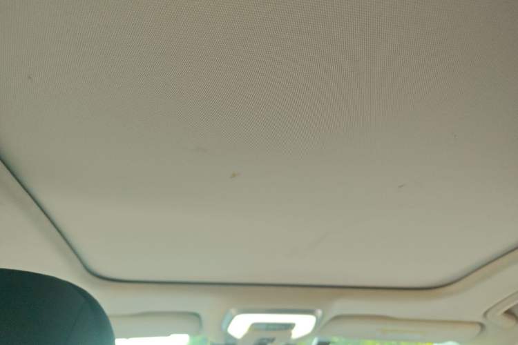 Used Hongqi H5 2023 1.5T DCT Smart Connect Flagship Edition Headliner