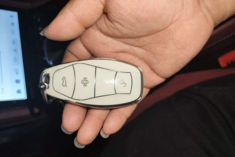Used Hongqi H5 2023 2.0T Automatic Smart Connect Flagship Edition Interior 1