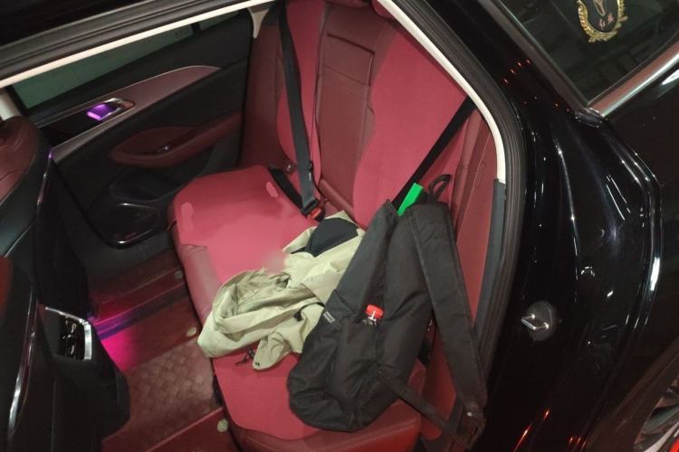 Used Hongqi H5 2023 2.0T Automatic Smart Connect Flagship Edition Interior 4