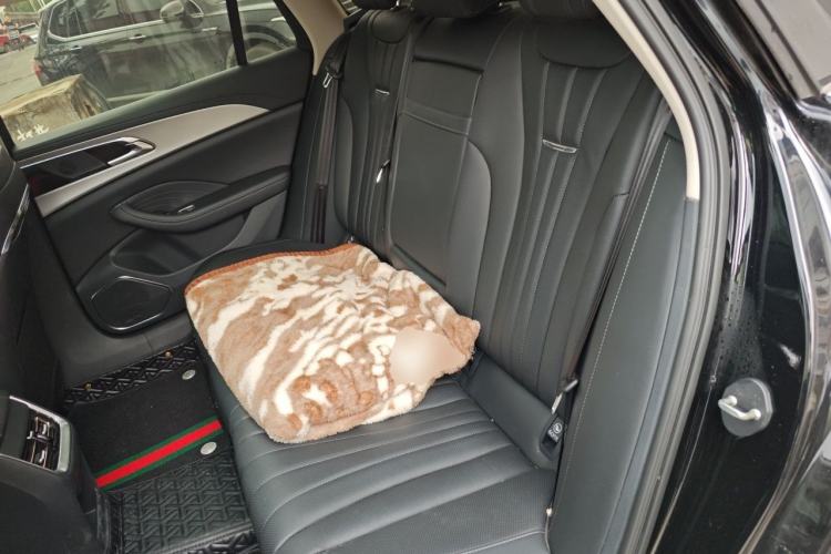 Used Hongqi H5 2023 1.5T DCT Smart Connect Flagship Edition Interior 4