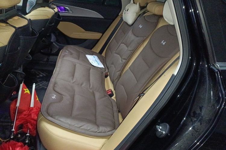 Used Hongqi H5 2023 2.0T Automatic Smart Connect Flagship Edition Left Rear Seat