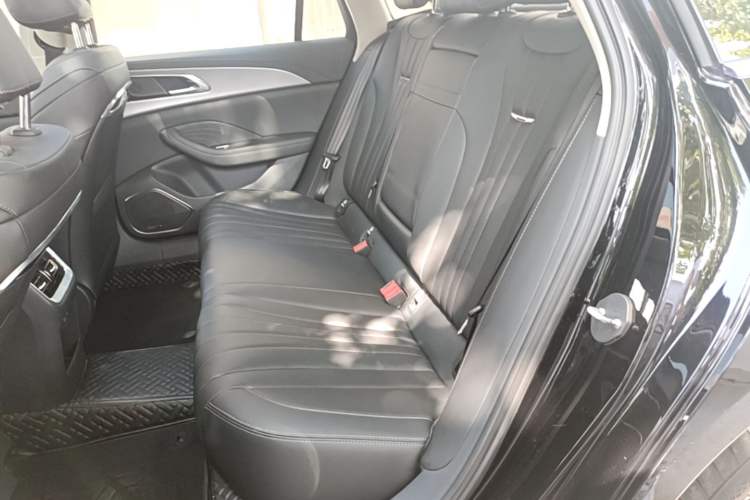 Used Hongqi H5 2023 1.5T DCT Smart Connect Flagship Edition Left Rear Seat