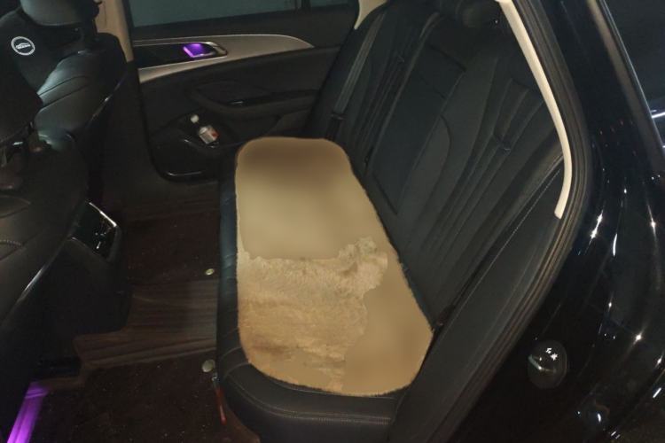 Used Hongqi H5 2023 1.5T DCT Smart Connect Flagship Edition Left Rear Seat