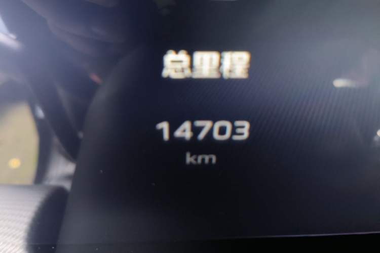 Used Hongqi H5 2023 1.5T DCT Smart Connect Flagship Edition Odometer Close Up